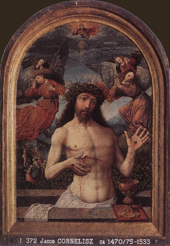 CORNELISZ VAN OOSTSANEN, Jacob Man of Sorrows dfg